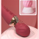 UAE-Electric Handheld Dual Head Vibrator for Women 10 Vibration Patterns USB Rechargeable